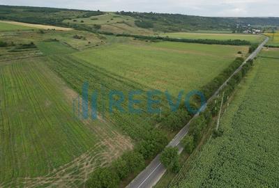 Teren de 4.400 mp Racova - 4