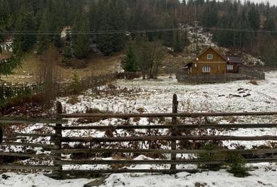 Teren Construcții intravilan de 6000 mp, în Ortoaia - 2