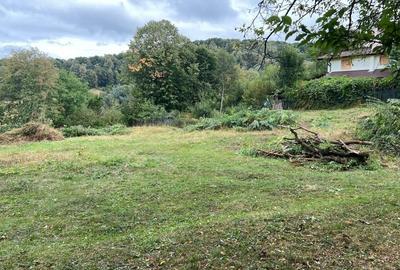 Spațiu comercial, în Buștenari - 3