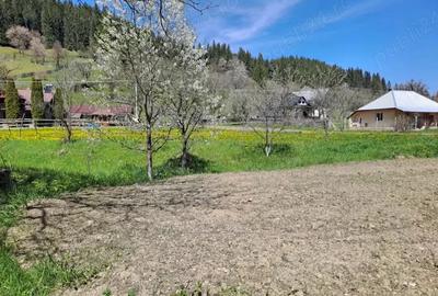 Teren de 3300 mp, în Poiana Largului