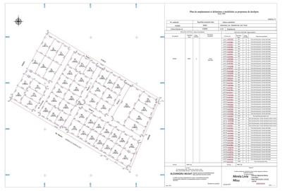 Teren Construcții intravilan de 600 mp, în Dumbrăvița - 1