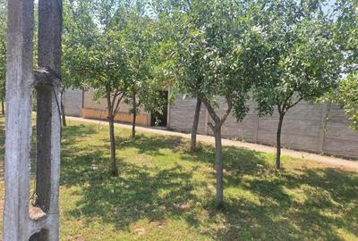 Casă individuală cu 5 camere cu Teren 5095 Mp în Călacea - 3