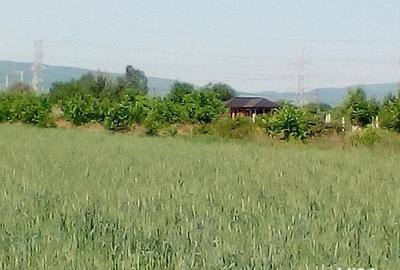 Teren de 980 mp, în Central - 2