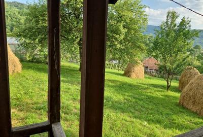 Teren de 1050 mp, în Valea Doftanei - 6