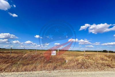 Teren 30.500 mp de vanzare in Livezi, Dolj - 3