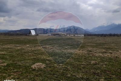 Spațiu comercial, în Pănicel - 7