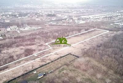 Teren de 3350 mp, în Bujoreni - 5
