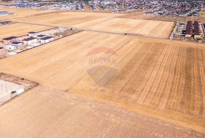 Oferta - vanzare teren intravilan 5,000mp Dobroesti -Bld. Nordului - 6