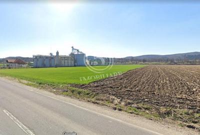 Teren Construcții extravilan de 21280 mp, în Vulcan - 5