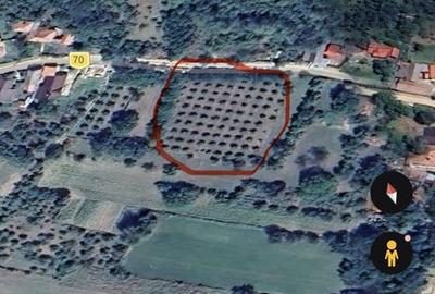 Spațiu comercial, în Central - 2