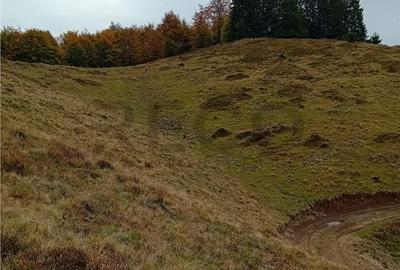 Spațiu comercial, în Cresuia - 3