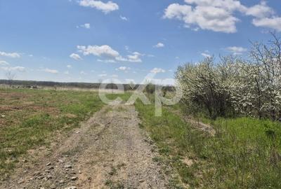 Casă individuală cu 3 camere cu Canalizare în Albota - 13