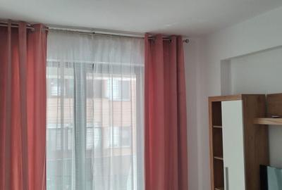 Apartament cu 2 camere decomandat în Roșu - 6
