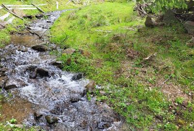 Spațiu comercial, în Măguri - 5