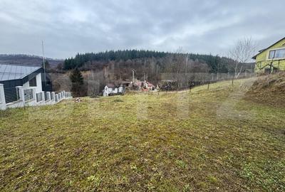 Teren Intravilan 600 mp, zona nord, Str Taberei - 6