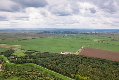 Teren 13500000 mp in Socodor - 1