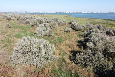 Teren Mamaia Sat zona Lac Siutghiol - 2