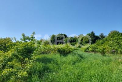 Teren de vanzare 4500 mp in centrul comunei Hamba judetul Sibiu - 4