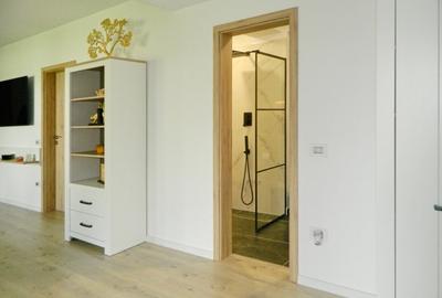 Apartament in  Vila , 4 camere + teren 232 mp - 15