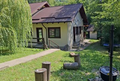 Casă cu 6 camere cu Teren 2267 Mp în Iedera de Sus - 10