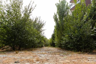 Teren intravilan Prelungirea Ghencea Teren intravilan Prelungirea Ghencea - 6