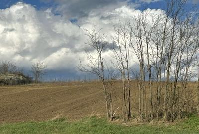 Teren agricol extravilan de 424 mp, în Central - 3