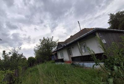 Casă cu 4 camere cu Teren 1800 Mp în Exterior Vest - 1