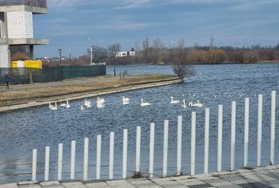Casă individuală cu 4 camere cu Canalizare în Central - 46