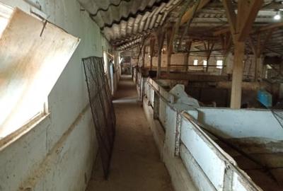 Grajd pentru animale in Nadlac - 8