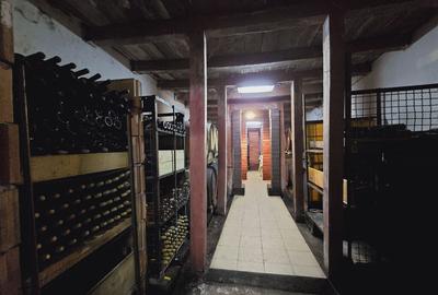 Teren de 80000 mp, în Covăsinț - 2