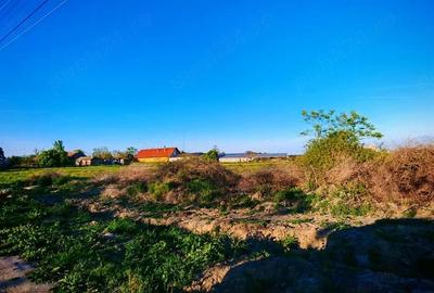 Casă cu Teren 5000 Mp în Saravale - 6