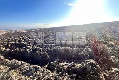 Teren I Suceava I Moara Nica I 2500 Mp I 54.900 Euro - 4