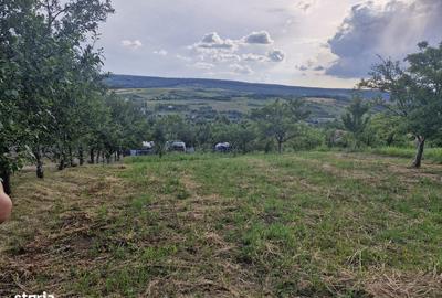 Teren de 740 mp, în Tomești - 2