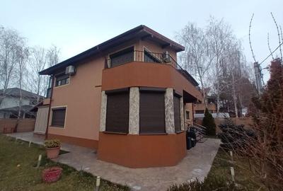 Vila 4 Camere, 3 Bai, Curte Amenajata, Strada Privata - 3