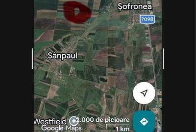 Spațiu comercial, în Sânpaul - 1