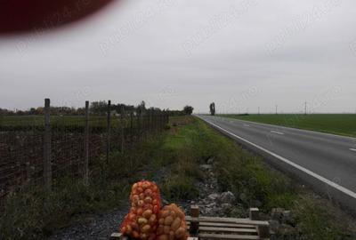Teren de 5000 mp, în Central - 3