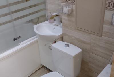 Garsonieră  Craiovei,  confort 1 - stradal , complet utilată  si mobilata - 11