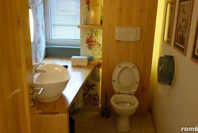 Pache Protopopescu-Agricultori-Matasari - 16