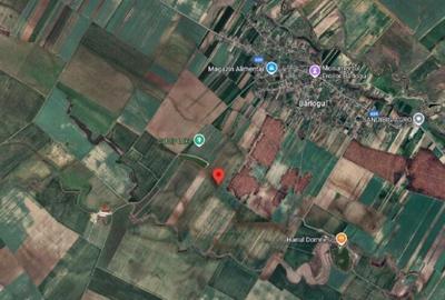 Teren extravilan Barlogu; ID: R2825534 - 15