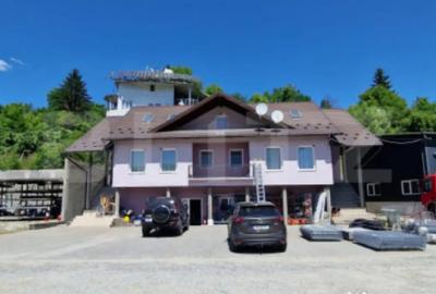 Casă cu 7 camere cu Teren 5000 Mp în Năsăud - 1