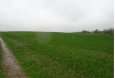 Teren intravilan arabil, situat in Com. Valea Mare, jud. Olt - 4