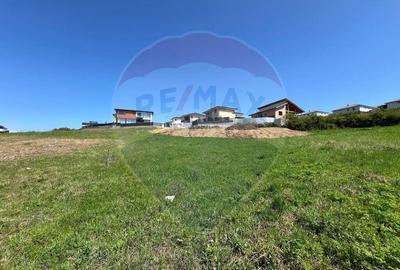 Teren de 500 mp, în Dezmir