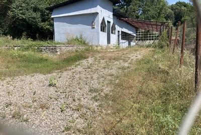 Imobil  comercial in  Zona  bailor Telega, spre  Crucea Domnitorului - 3