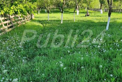 Casă cu 3 camere în Sălătrucel - 4
