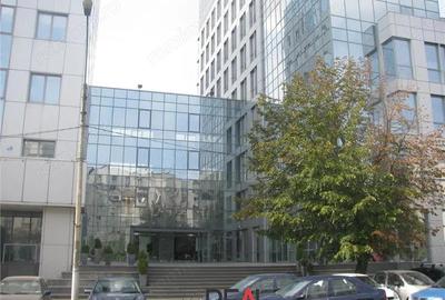 Spațiu comercial, în Timpuri Noi - 1