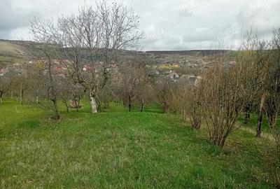 Casa de vanazare in Sandule?ti - 10