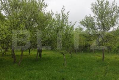 Teren de 6500 mp, în Gurasada - 2