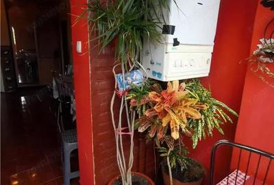 Inchiriez apartament 3 camere, centrala gaz-Alfa - 13