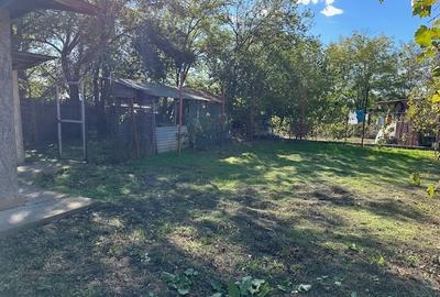 Dridu, judetul Ialomita - 6