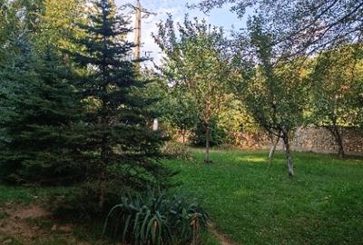 Izvoarele, Prahova - 7